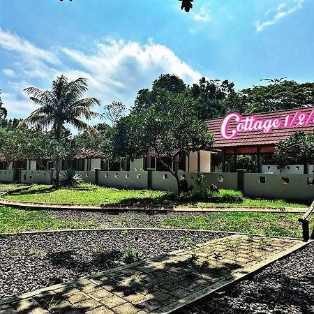G Beach Hotel Grajagan Buitenkant foto